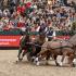 FEI World Cupâ„¢ Driving